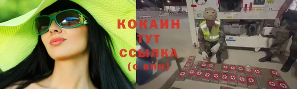 тгк Белокуриха