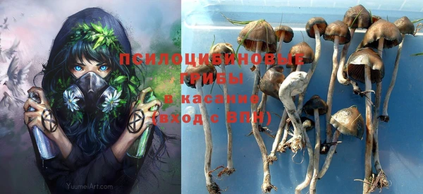 тгк Белокуриха