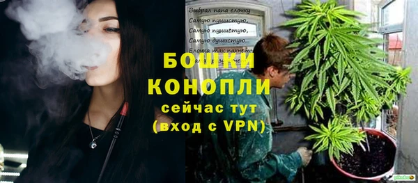 тгк Белокуриха