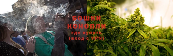 тгк Белокуриха