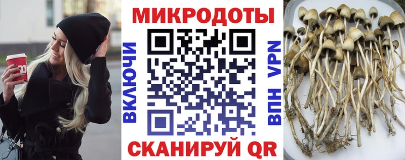 Галлюциногенные грибы GOLDEN TEACHER  Петропавловск-Камчатский 